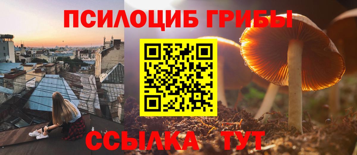 Галлюциногенные грибы Magic Shrooms  Псилоцибиновые грибы мухоморы  Ливны  Вход с VPN 