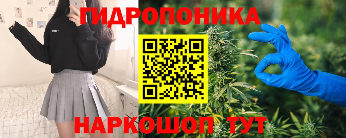 Бошки марихуана Amnesia Ливны